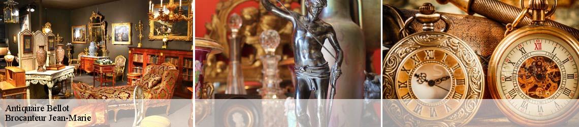 Antiquaire  bellot-77510 Brocanteur Jean-Marie
