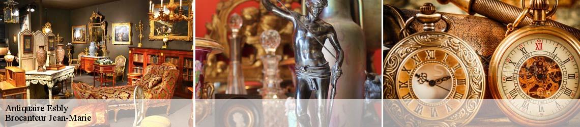 Antiquaire  esbly-77450 Brocanteur Jean-Marie