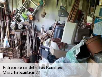 Entreprise de débarras 77250