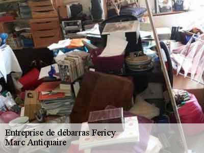 Entreprise de débarras  77133