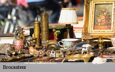 Brocanteur  77120