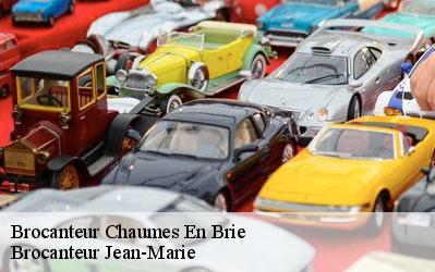 Brocanteur  77390