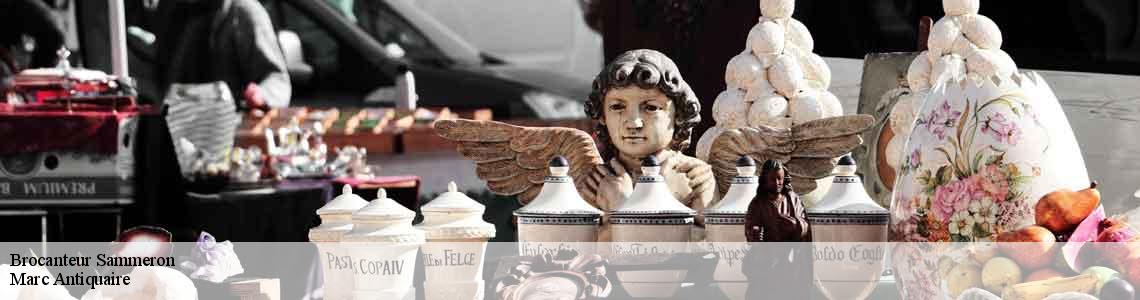 Brocanteur  sammeron-77260 Marc Antiquaire