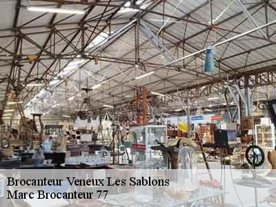 Brocanteur  77250