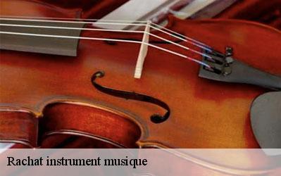 Rachat instrument musique  77210