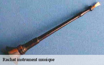 Rachat instrument musique  77210