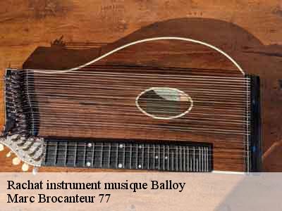 Rachat instrument musique  77118