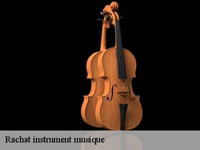Rachat instrument musique 77181